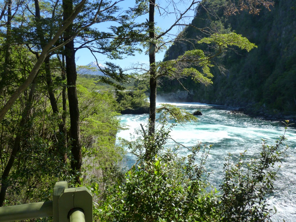 Foto: Parque Nacional Vicente Pérez Rosales. - Osorno (Los Lagos), Chile