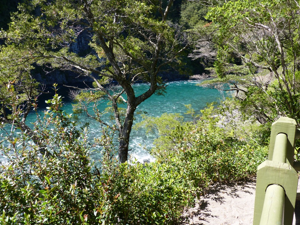 Foto: Parque Nacional Vicente Pérez Rosales. - Osorno (Los Lagos), Chile