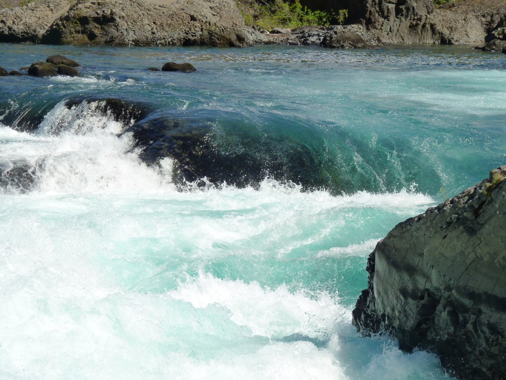 Foto: Parque Nacional Vicente Pérez Rosales. - Osorno (Los Lagos), Chile