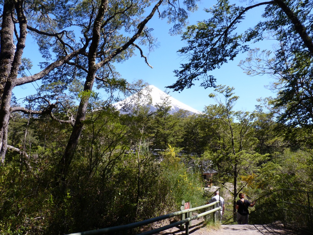 Foto: Parque Nacional Vicente Pérez Rosales. - Osorno (Los Lagos), Chile