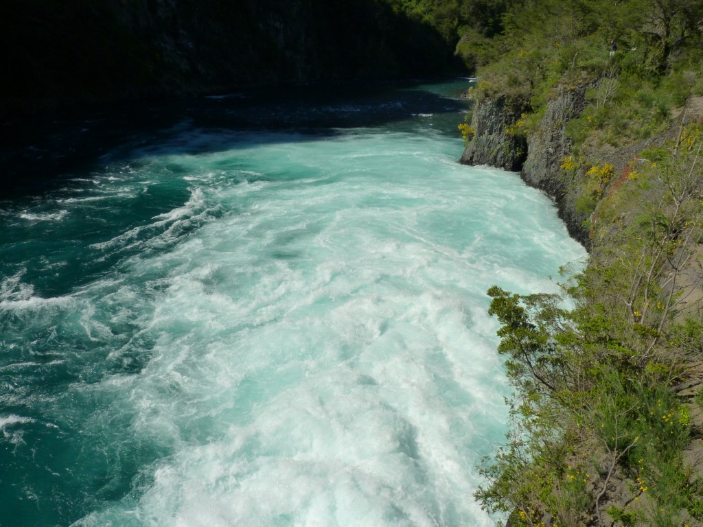 Foto: Parque Nacional Vicente Pérez Rosales. - Osorno (Los Lagos), Chile