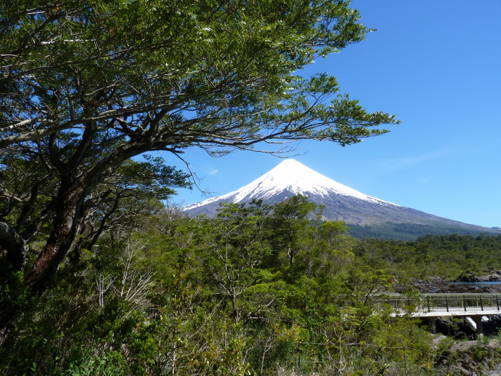 Foto: Parque Nacional Vicente Pérez Rosales. - Osorno (Los Lagos), Chile