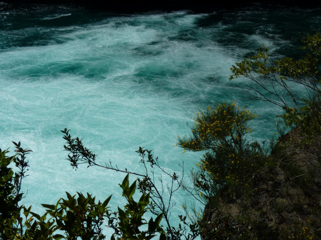 Foto: Parque Nacional Vicente Pérez Rosales. - Osorno (Los Lagos), Chile