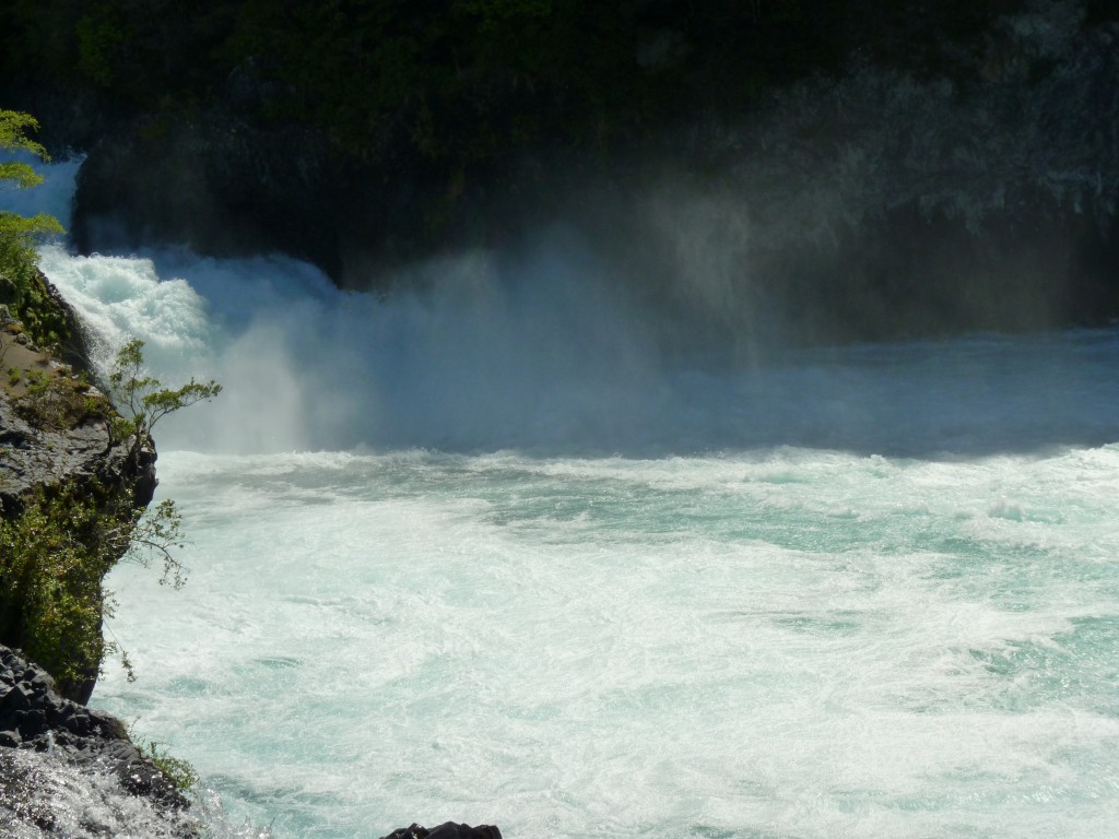 Foto: Parque Nacional Vicente Pérez Rosales. - Osorno (Los Lagos), Chile