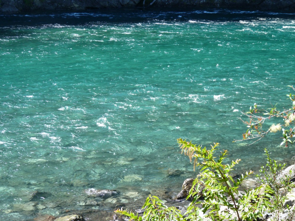 Foto: Parque Nacional Vicente Pérez Rosales. - Osorno (Los Lagos), Chile