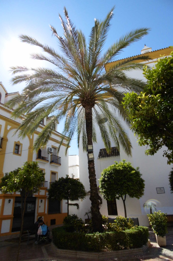 Foto: Centro histórico - Marbella (Málaga), España