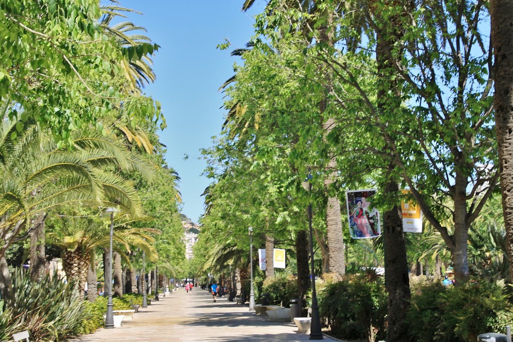 Foto: Paseo España - Málaga (Andalucía), España