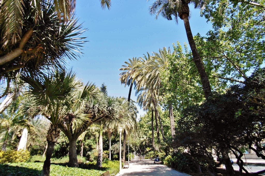 Foto: Paseo España - Málaga (Andalucía), España