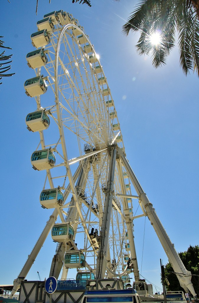 Foto: Noria - Málaga (Andalucía), España