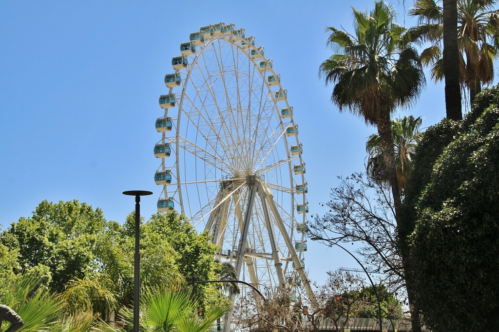 Foto: Noria - Málaga (Andalucía), España