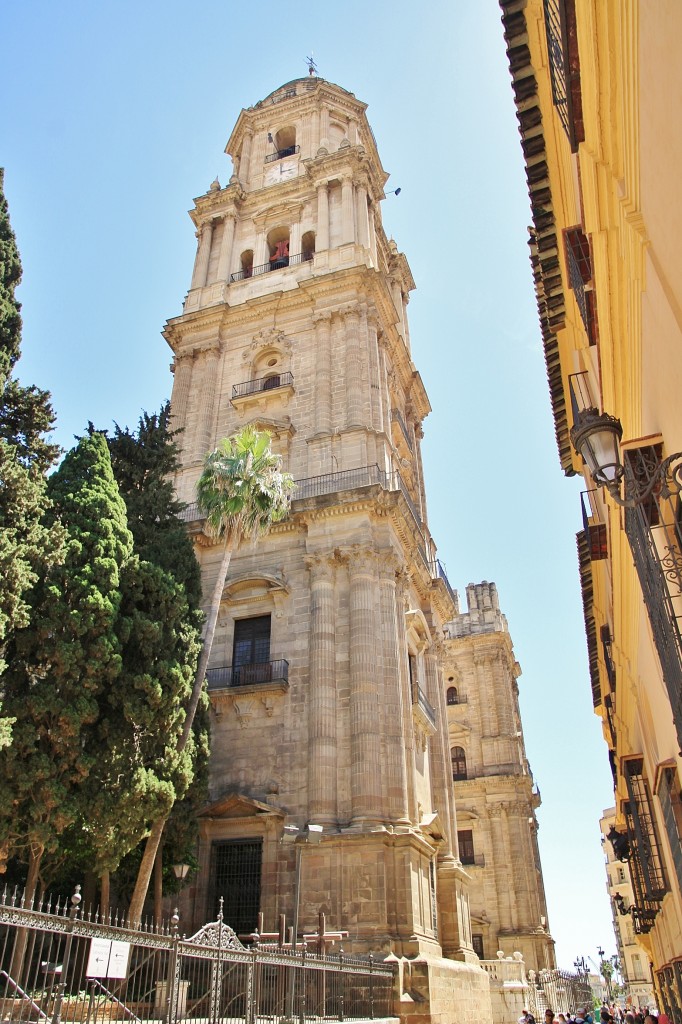 Foto: Catedral - Málaga (Andalucía), España