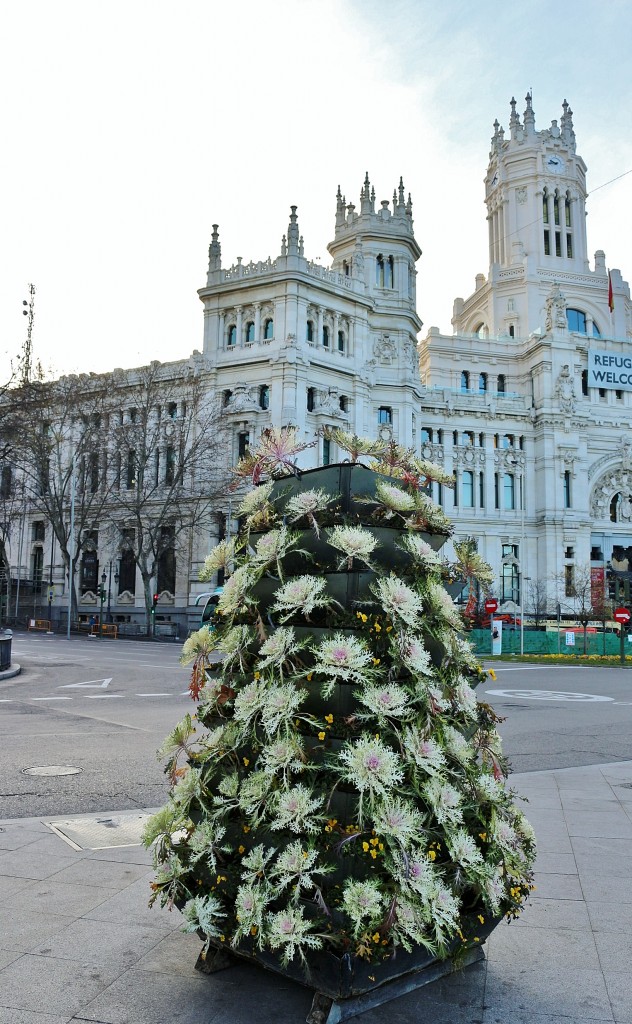 Foto: Ayuntamiento - Madrid (Comunidad de Madrid), España