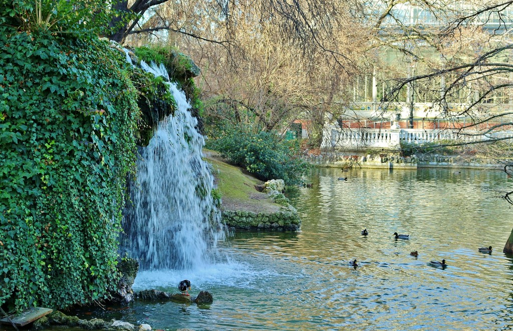 Foto: Parque del Retiro - Madrid (Comunidad de Madrid), España