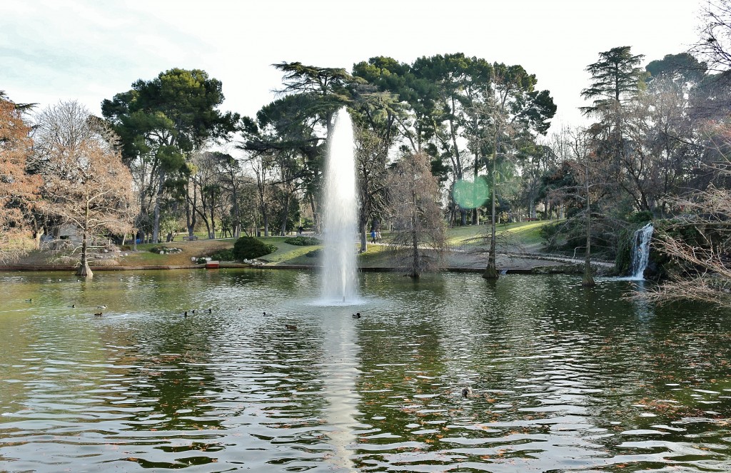 Foto: Parque del Retiro - Madrid (Comunidad de Madrid), España