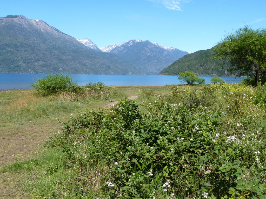 Foto: Parque Nacional Lago Puelo - Lago Puelo (Chubut), Argentina