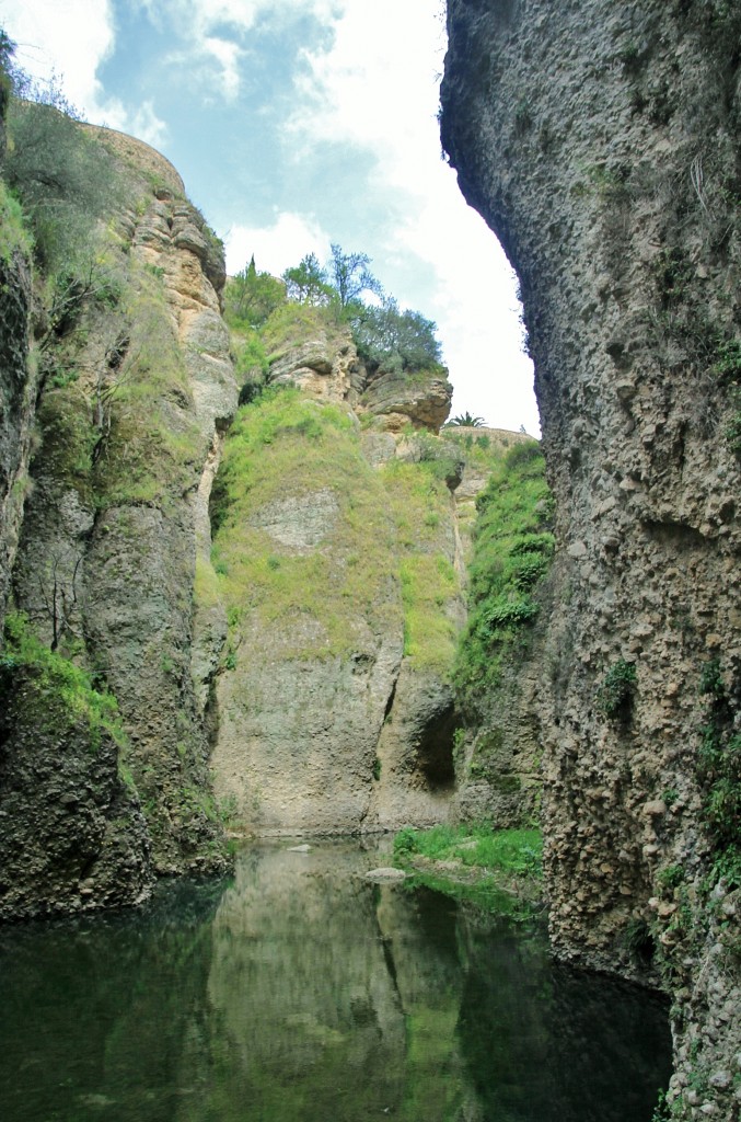 Foto: Rio Guadalevín - Ronda (Málaga), España