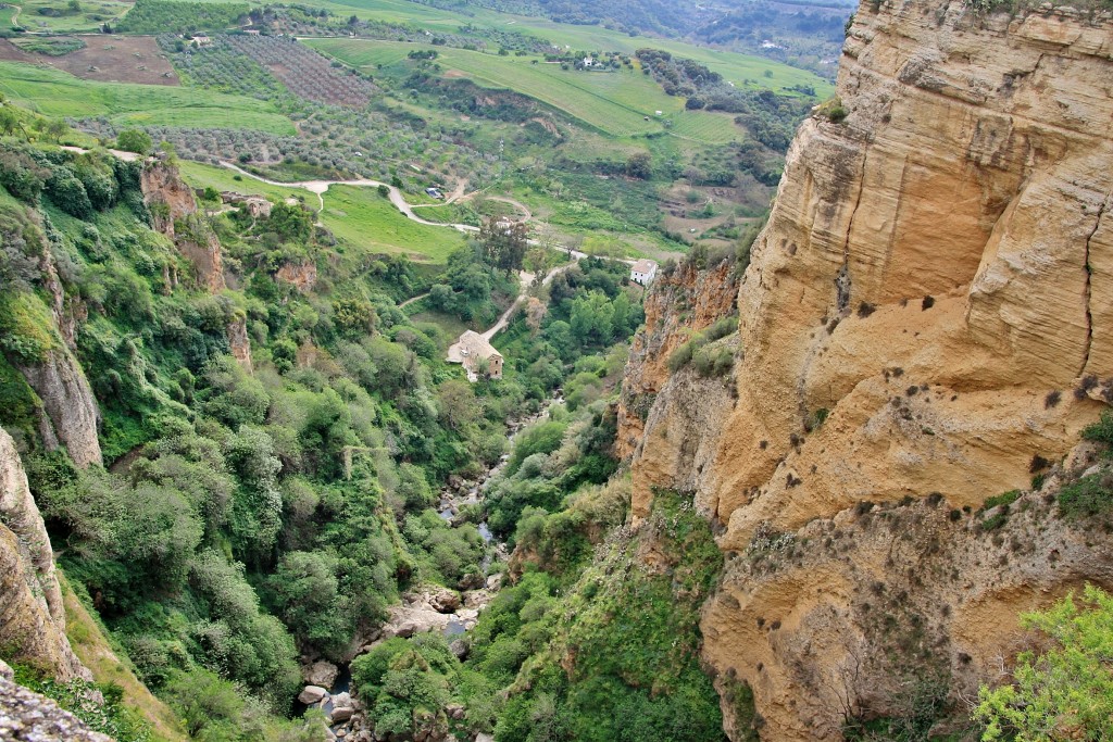 Foto: Vistas desde el puente Nuevo - Ronda (Málaga), España