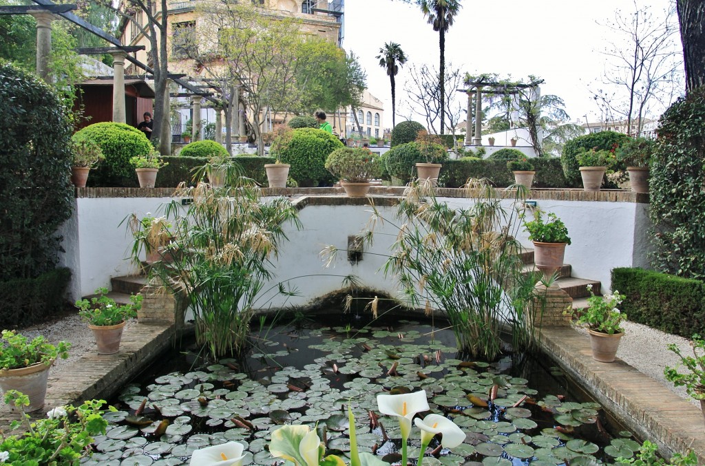 Foto: Palacio del rey Moro - Ronda (Málaga), España