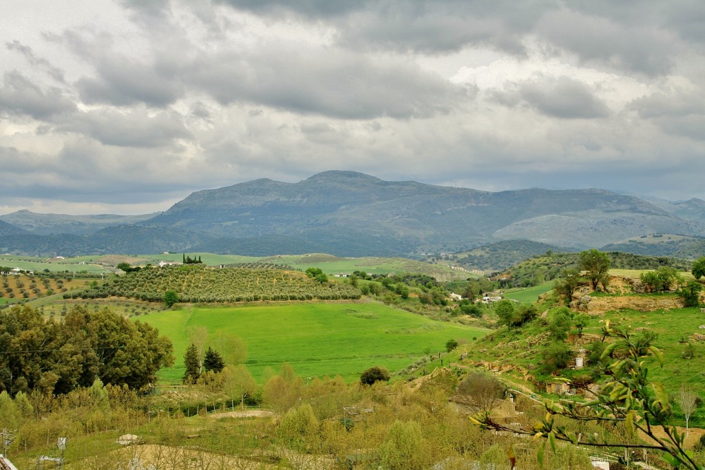 Foto: Vistas desde el palacio del rey Moro - Ronda (Málaga), España