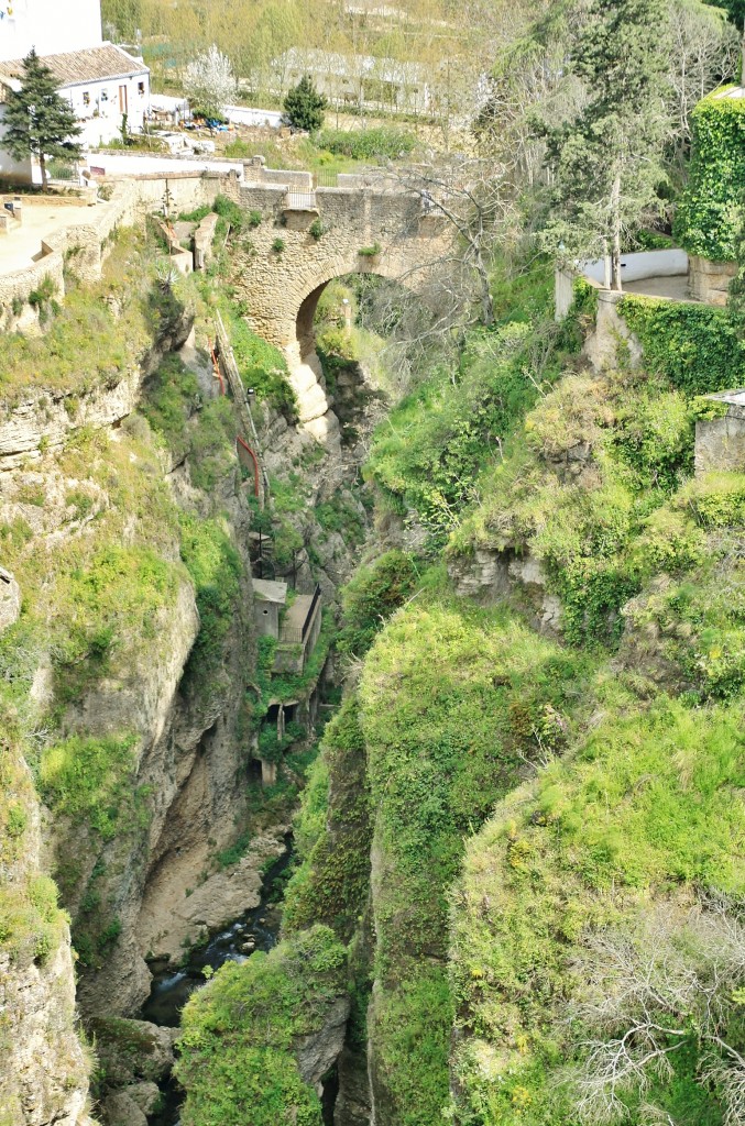 Foto: Puente Viejo - Ronda (Málaga), España