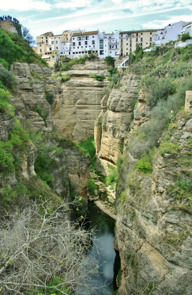 Foto: Vista desde el palacio del Rey Moro - Ronda (Málaga), España