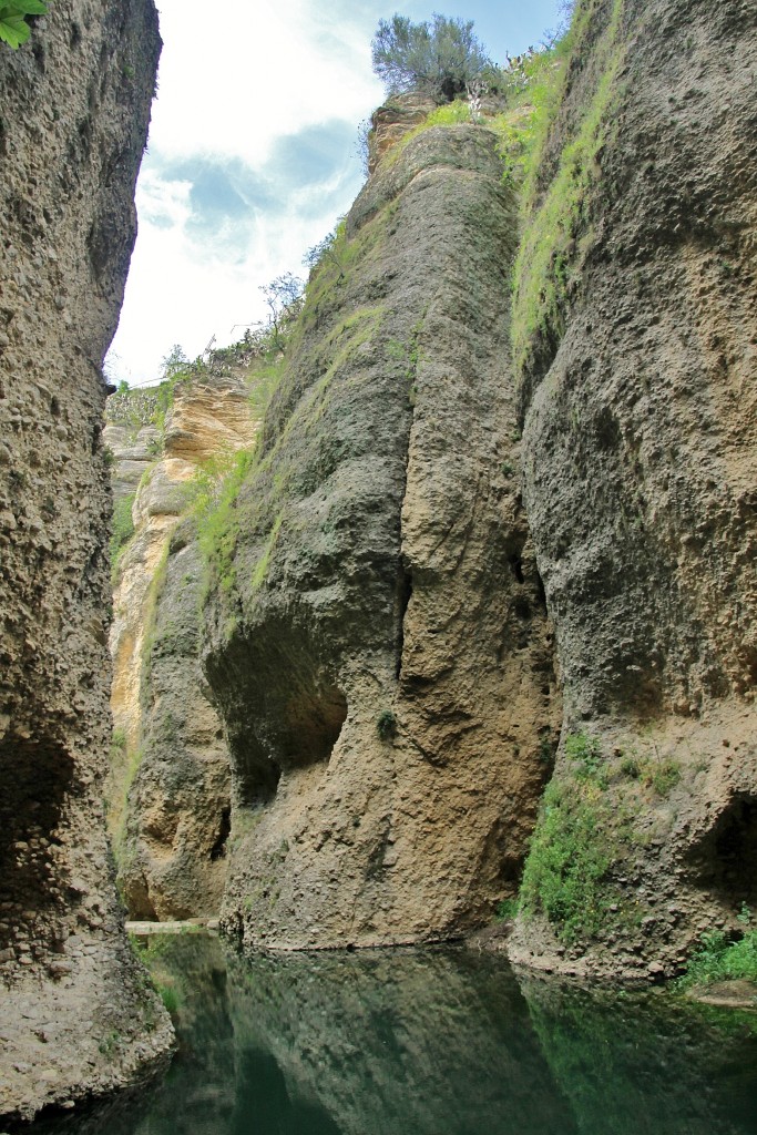 Foto: Rio Guadalevín - Ronda (Málaga), España