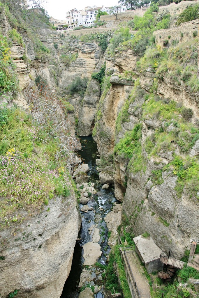 Foto: Rio Guadalevín - Ronda (Málaga), España