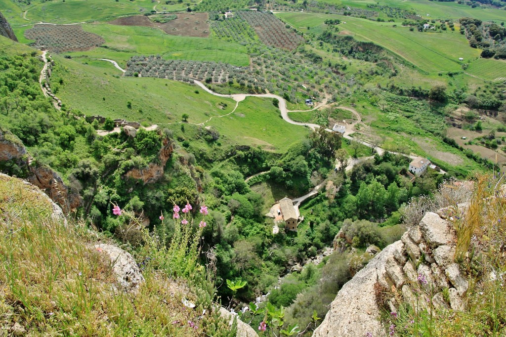 Foto: Vista desde el puente Nuevo - Ronda (Málaga), España