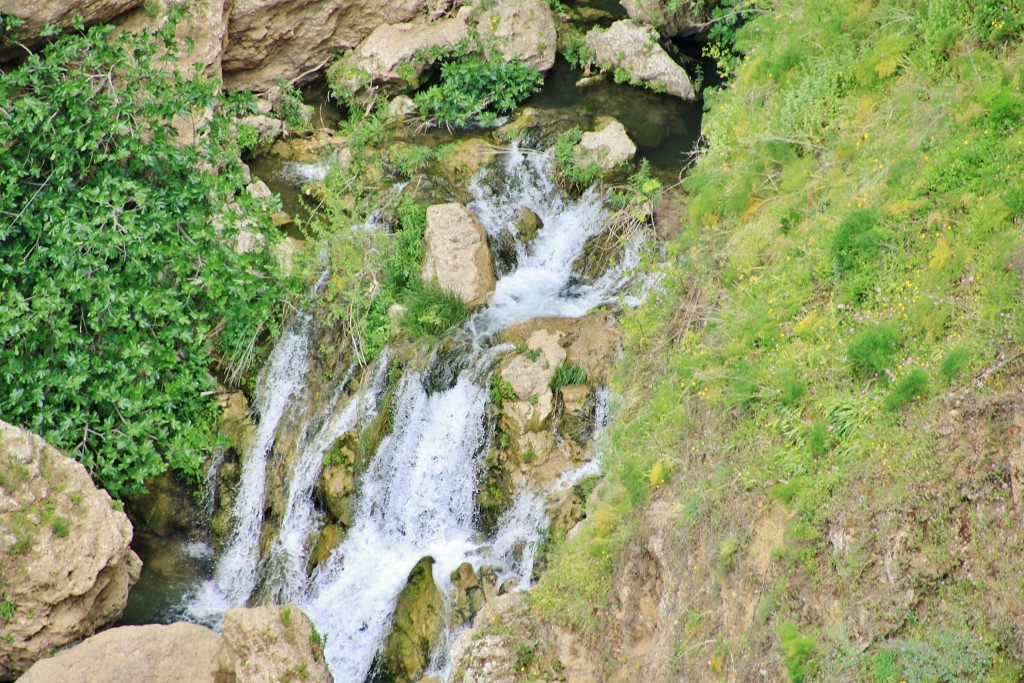 Foto: Rio Guadalevín - Ronda (Málaga), España