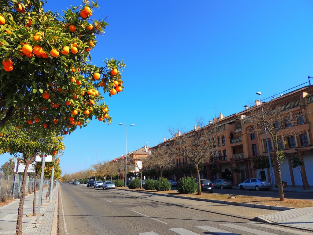 Foto de Córdoba (Andalucía), España