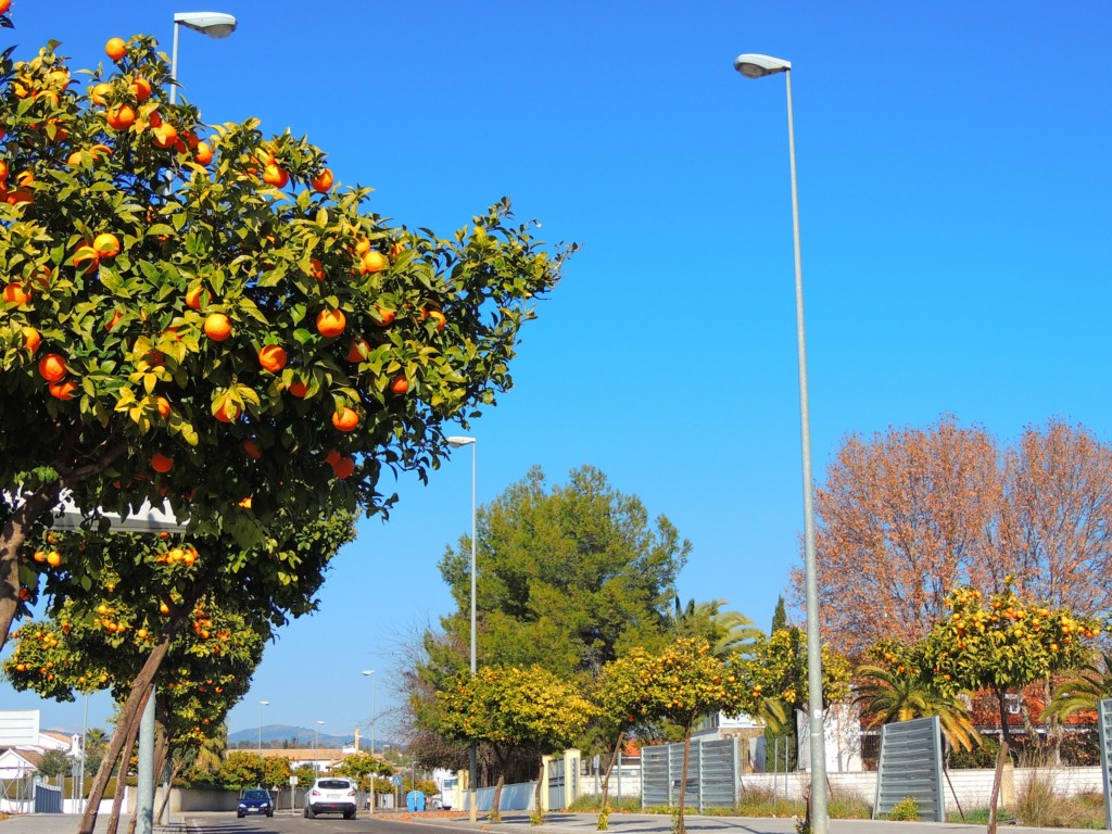 Foto de Córdoba (Andalucía), España