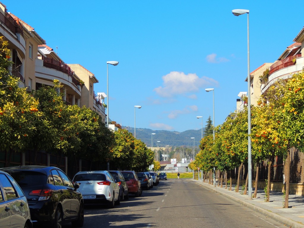 Foto de Córdoba (Andalucía), España