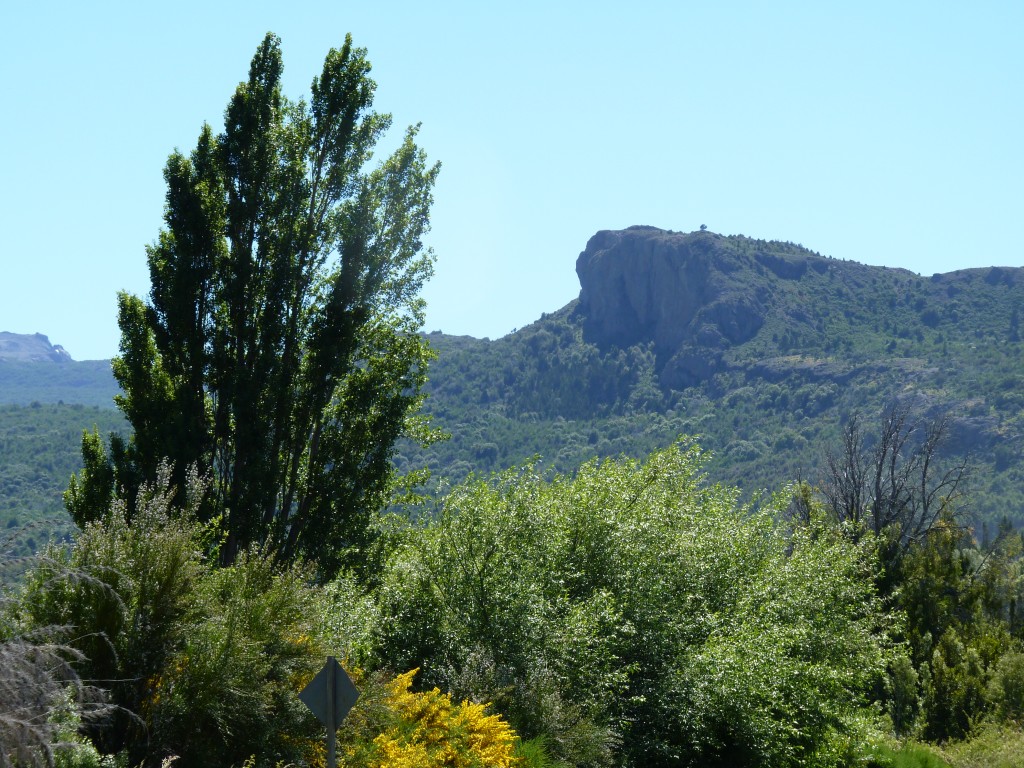 Foto de Parque Nacional Los Alerces (Chubut), Argentina