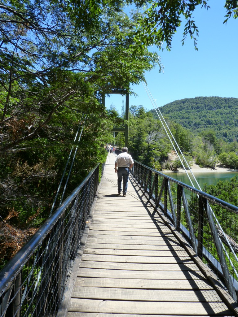 Foto: Pasarela. - Parque Nacional Los Alerces (Chubut), Argentina