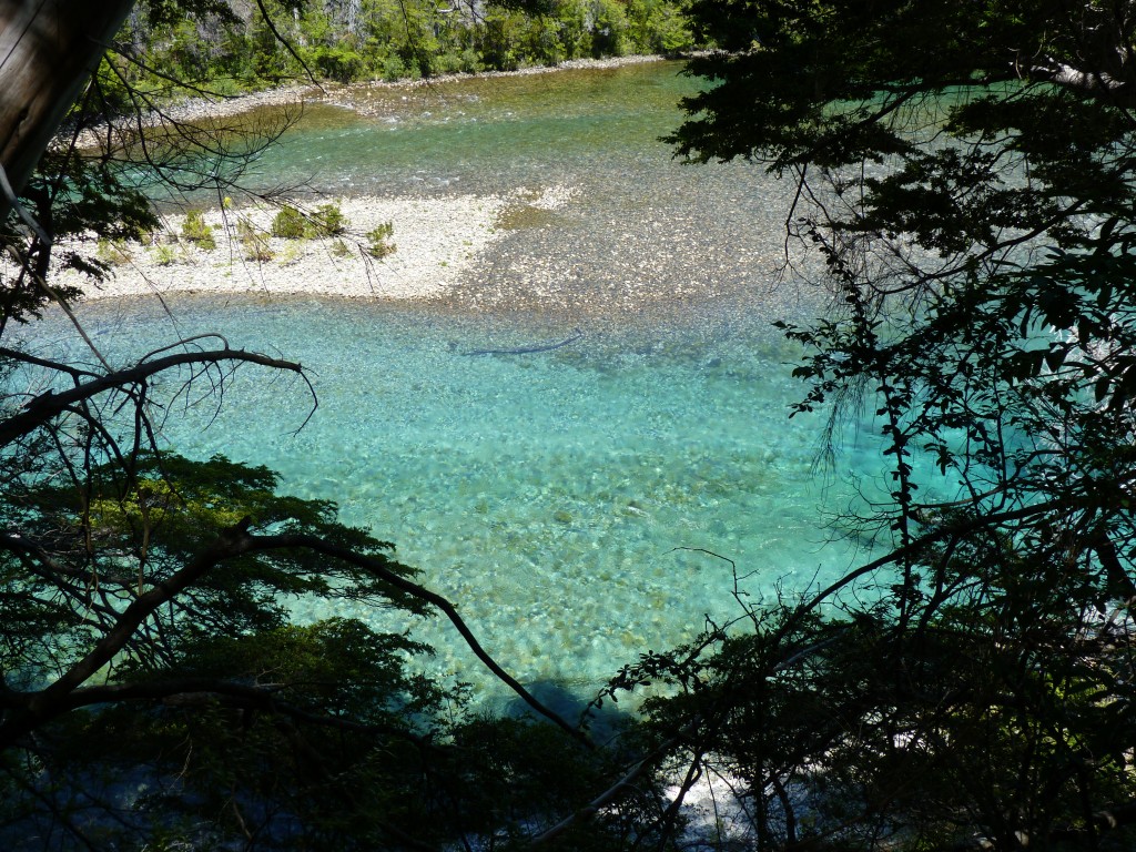 Foto: Río Menéndez. - Parque Nacional Los Alerces (Chubut), Argentina