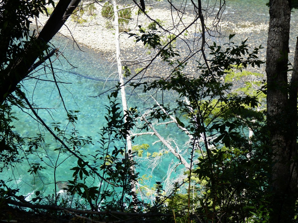 Foto: Reunión de los ríos Menéndez y Arrayanes. - Parque Nacional Los Alerces (Chubut), Argentina