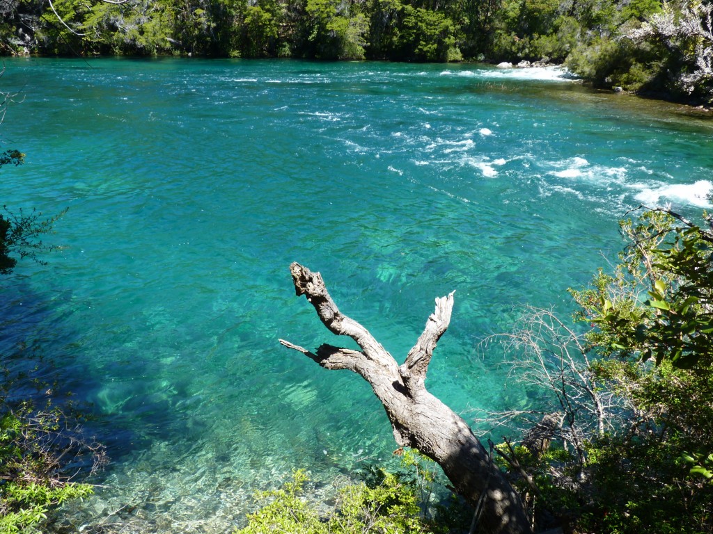 Foto: Río Menéndez. - Parque Nacional Los Alerces (Chubut), Argentina