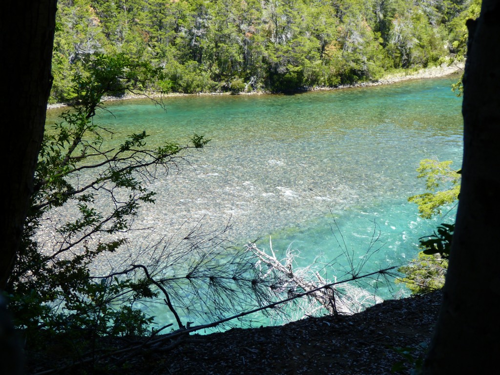 Foto: Reunión de los ríos Menéndez y Arrayanes. - Parque Nacional Los Alerces (Chubut), Argentina