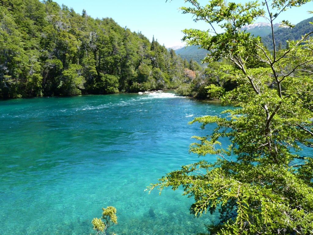 Foto: Río Menéndez. - Parque Nacional Los Alerces (Chubut), Argentina