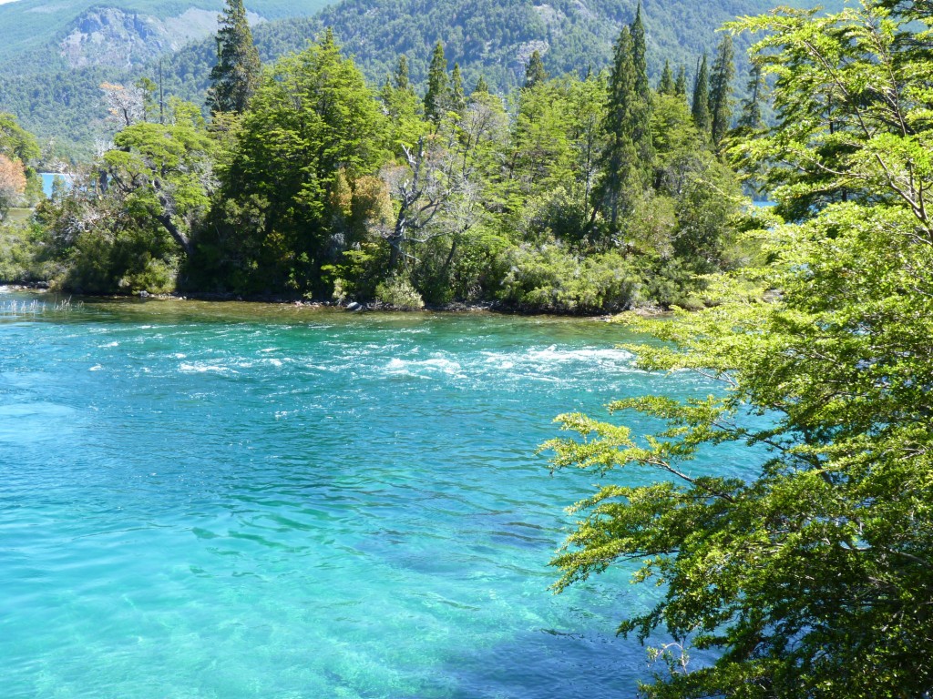 Foto: Río Menéndez. - Parque Nacional Los Alerces (Chubut), Argentina