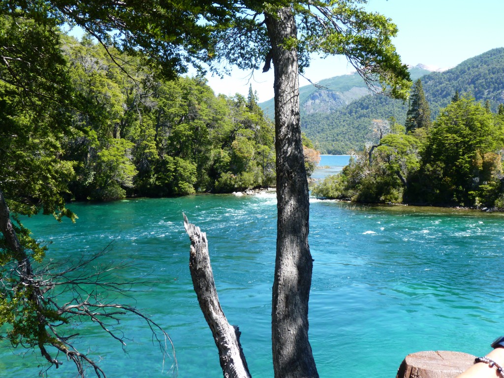 Foto de Parque Nacional Los Alerces (Chubut), Argentina