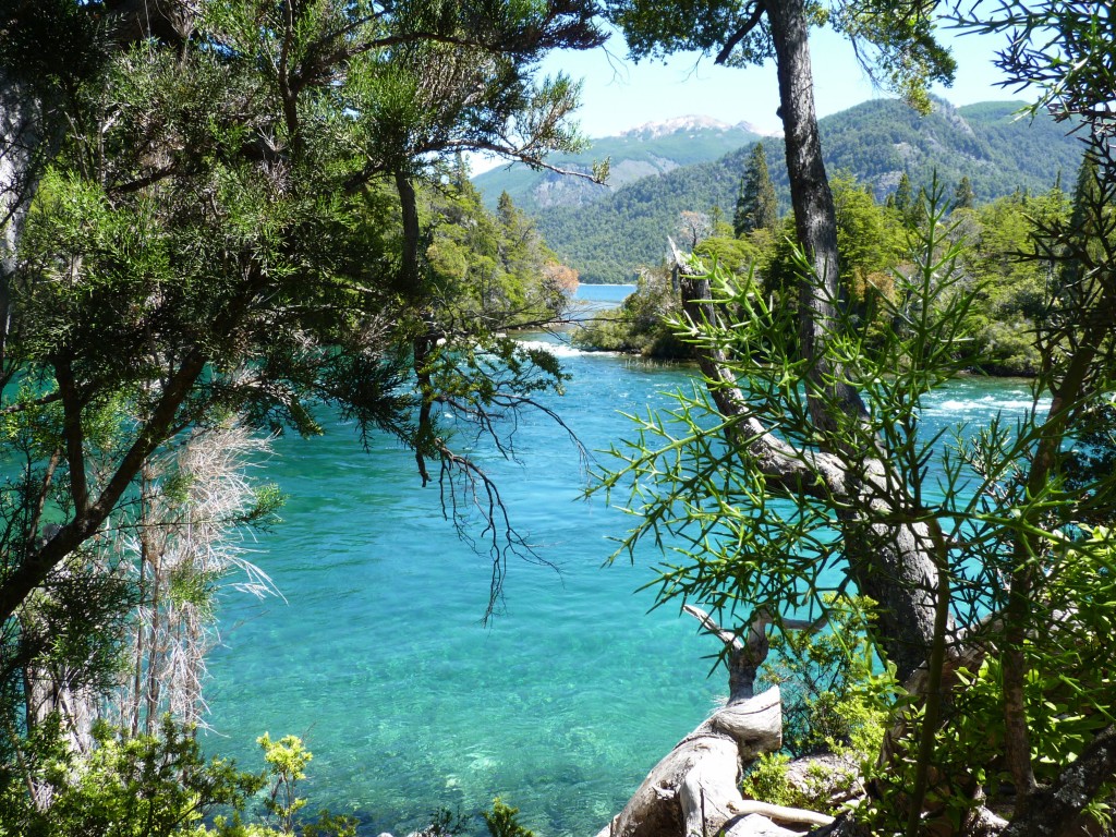 Foto: Río Menéndez. - Parque Nacional Los Alerces (Chubut), Argentina