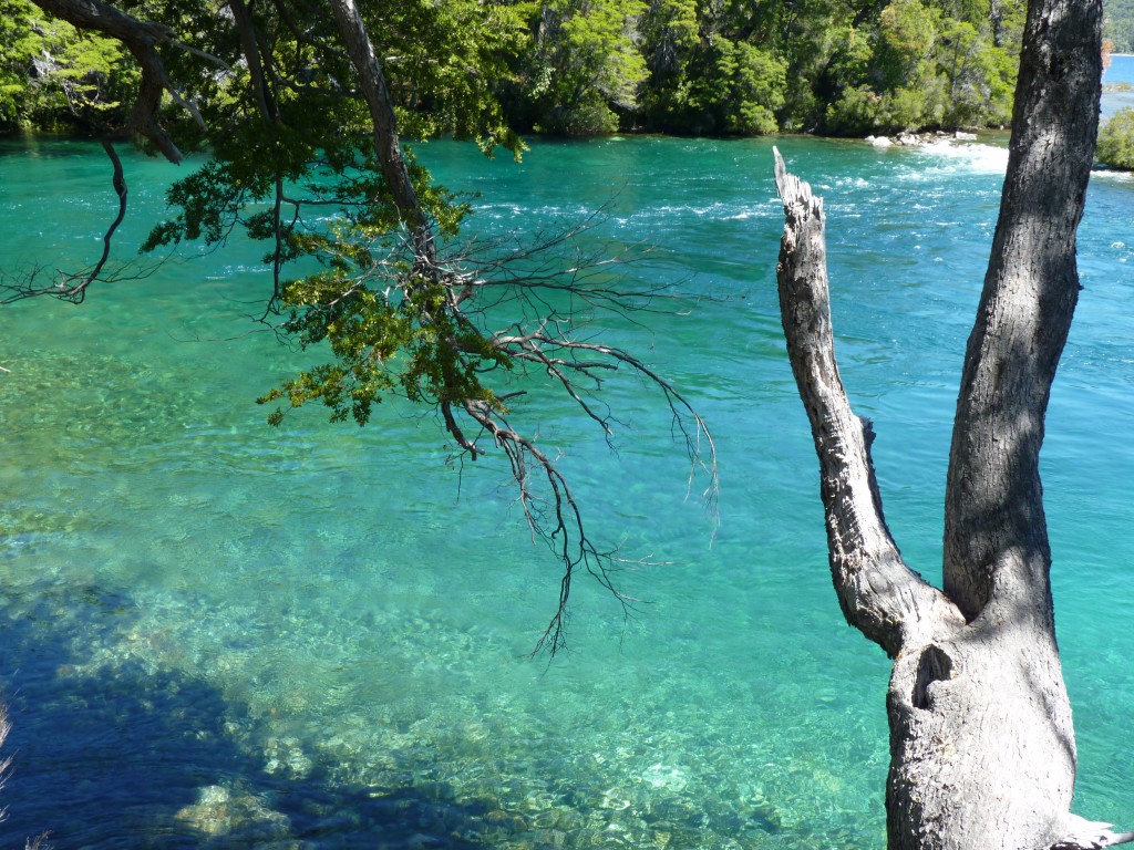 Foto de Parque Nacional Los Alerces (Chubut), Argentina