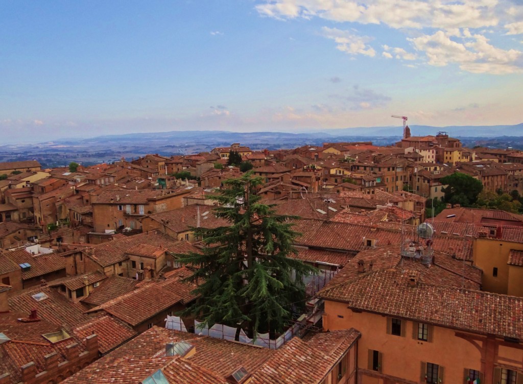 Foto: Panorama Del Duomo - Siena (Tuscany), Italia