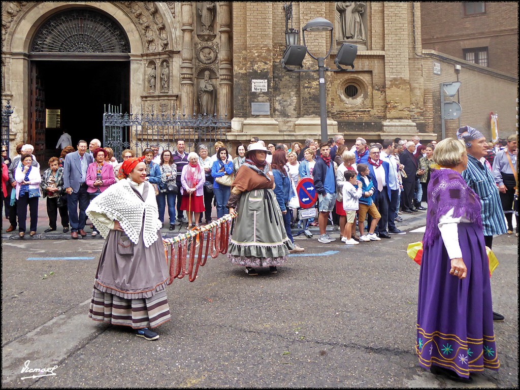 Foto: 171013-069 ZARAGOZA OF FRUTOS - Zaragoza (Aragón), España