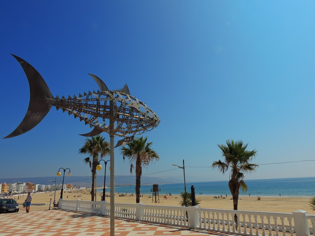 Foto de Barbate (Cádiz), España