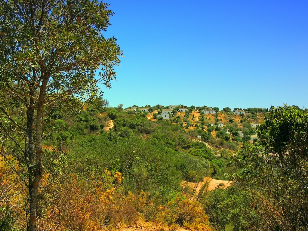 Foto de Algar (Cádiz), España