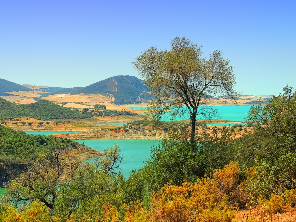 Foto de Algar (Cádiz), España