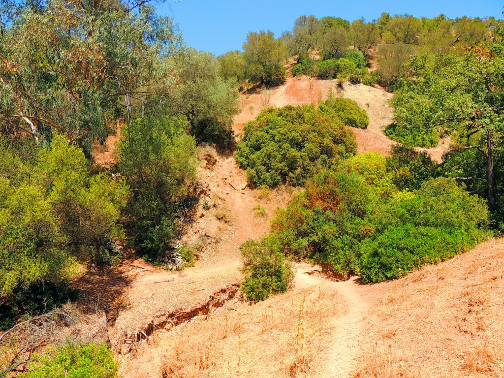 Foto de Algar (Cádiz), España