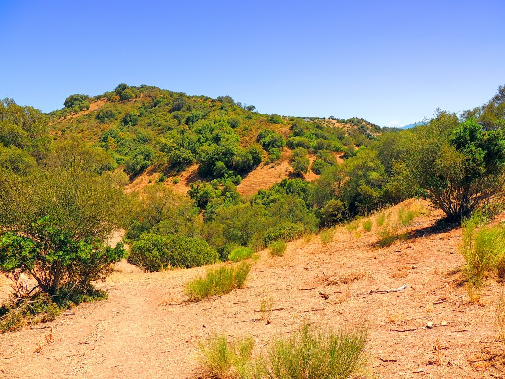 Foto de Algar (Cádiz), España